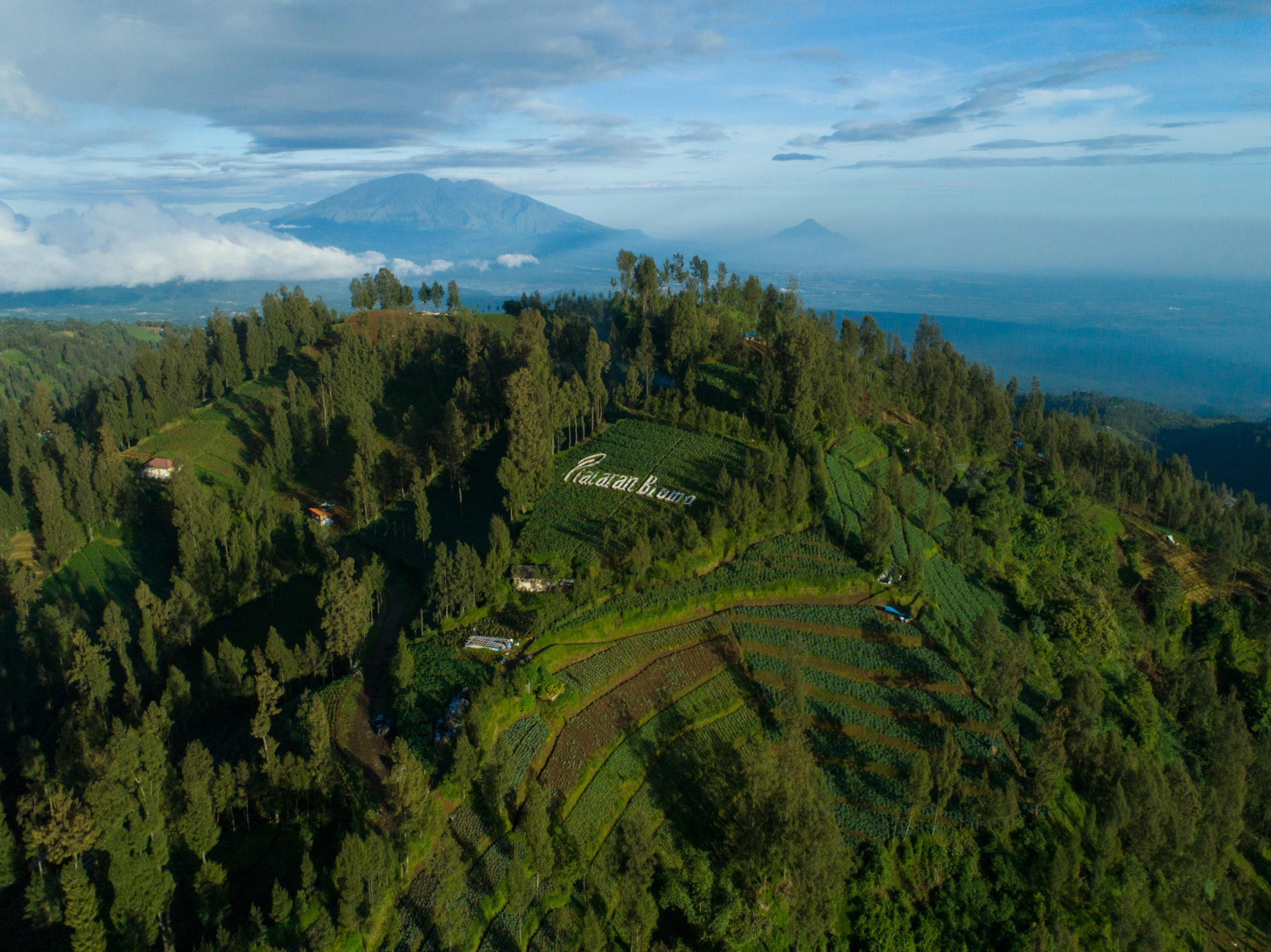 Hotel Plataran Bromo Esterno foto