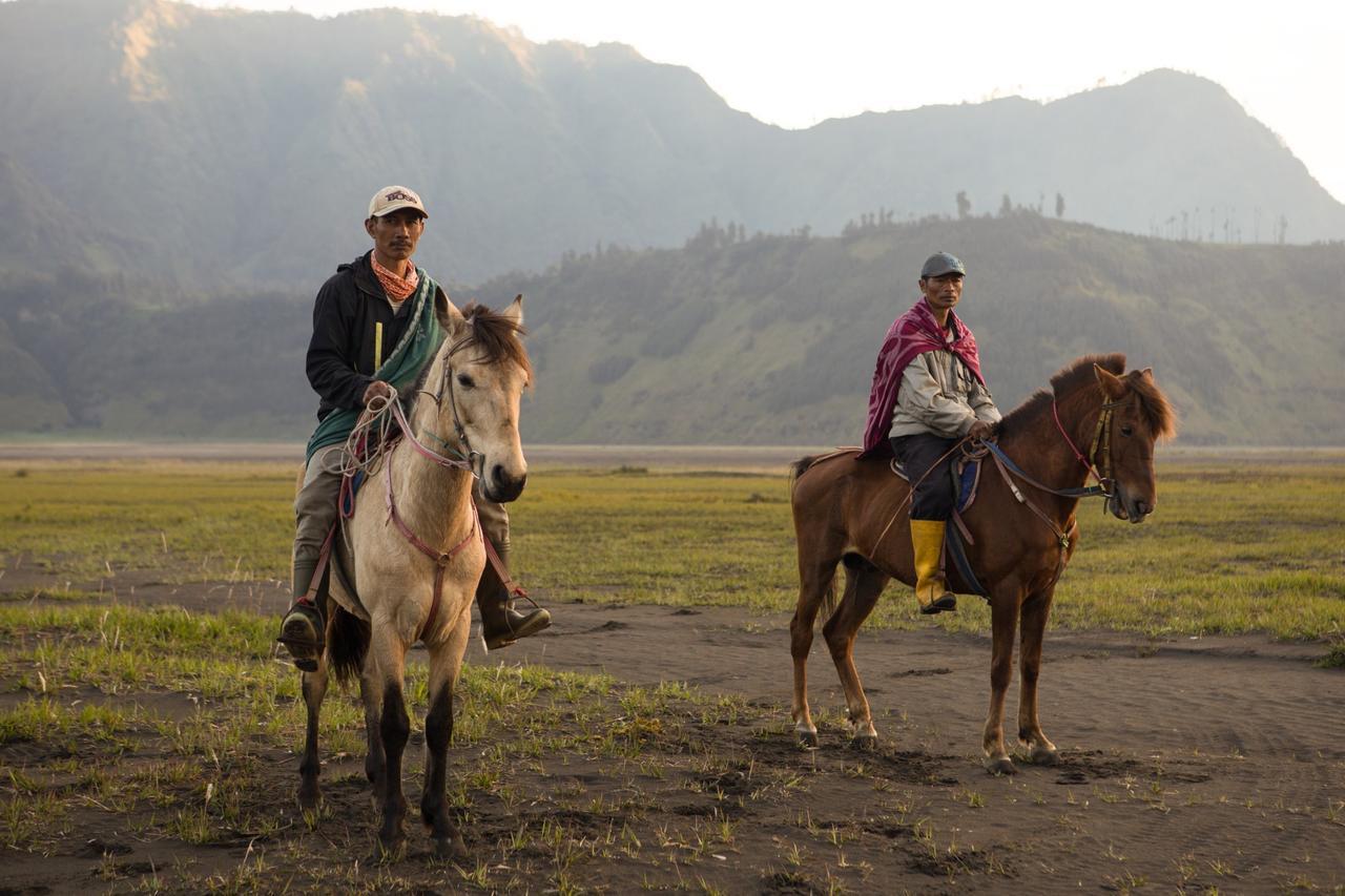 Hotel Plataran Bromo Esterno foto
